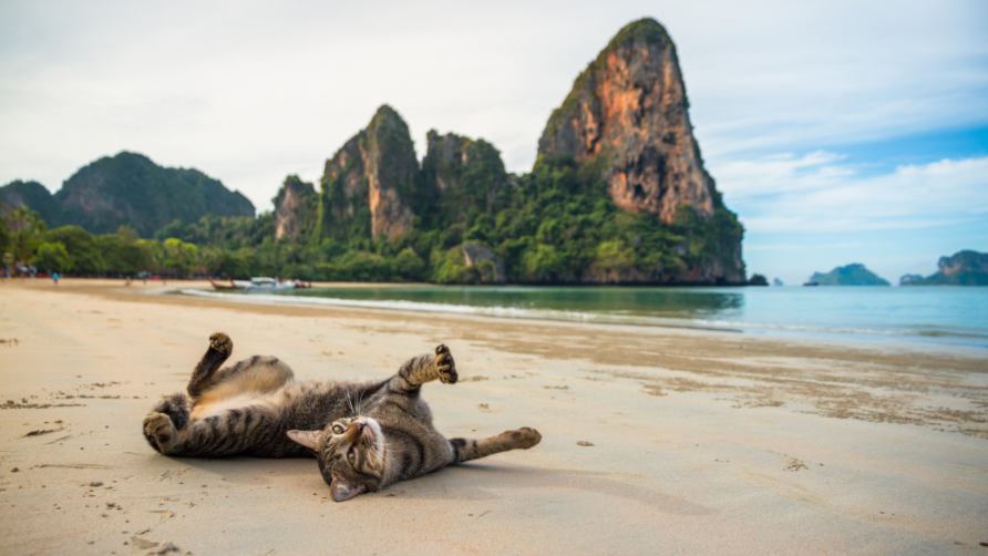 RAILAY  BEACH, KRABI  IN  THAILAND